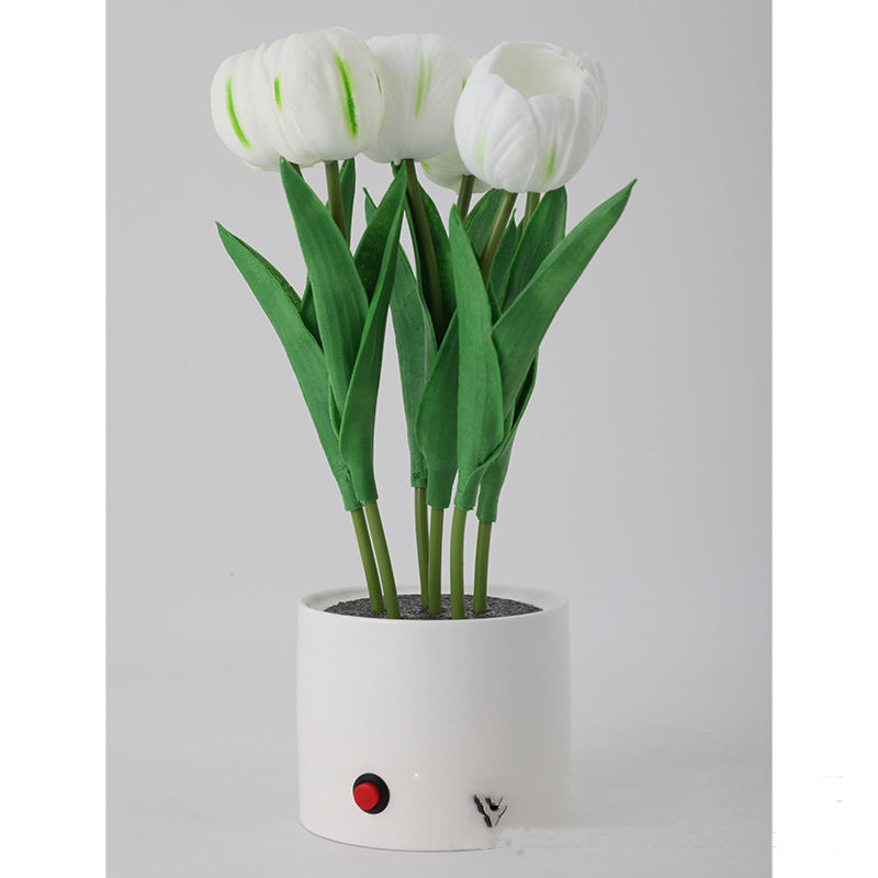 Personalized Decorative Atmosphere Lamp
