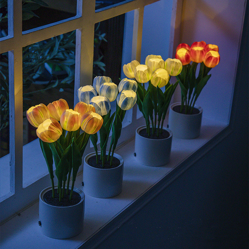 Personalized Decorative Atmosphere Lamp