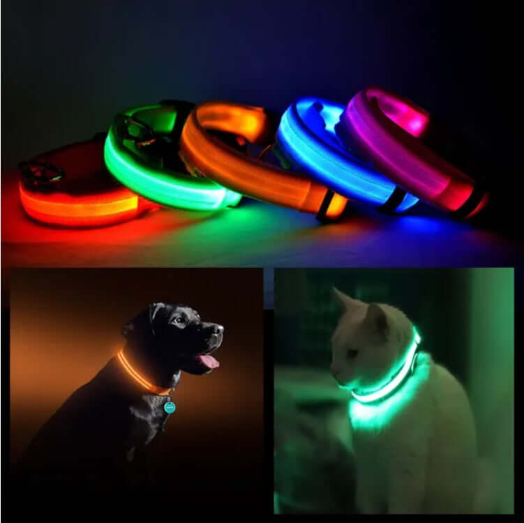 LED Pet Safety Halo Collar in vibrant colors for pets, ensuring visibility during night walks.