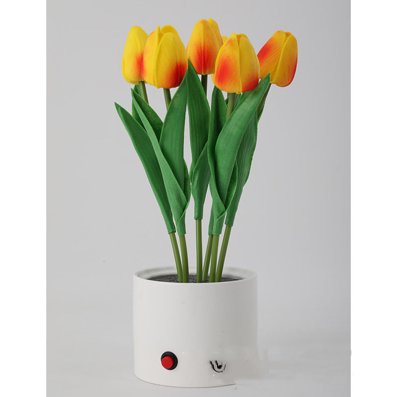 Personalized Decorative Atmosphere Lamp