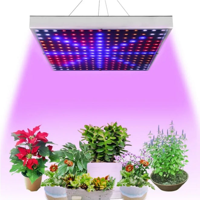 Full Spectrum Indoor Plant Growth Lamp illuminating various indoor plants in colorful light