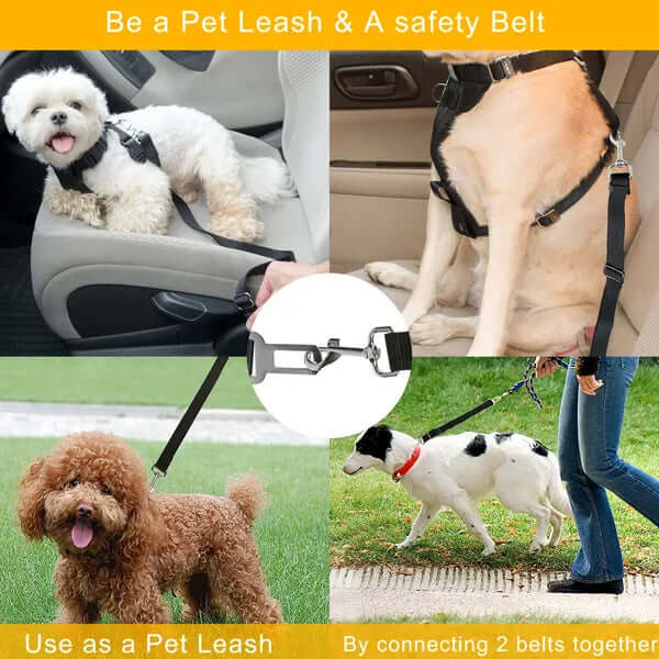 2Pcs Adjustable Pet Seat Belt leash for dogs and cats, features harness use and safety belt clips for secure travel.