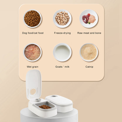Smart Auto Pet Food Dispenser