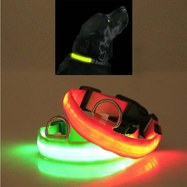 LED Pet Safety Halo Collar in vibrant colors, ensuring visibility for pets during night walks.