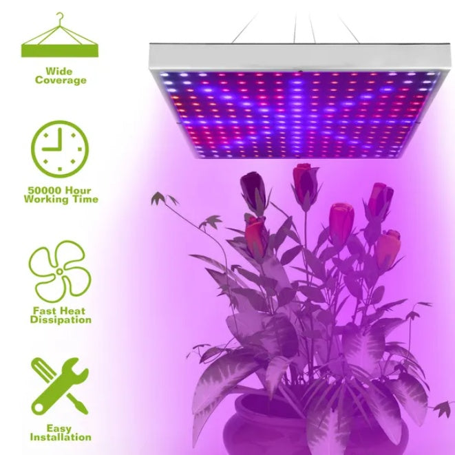 Full Spectrum Indoor Plant Growth Lamp providing light over a potted plant with purple flowers and icons for features.