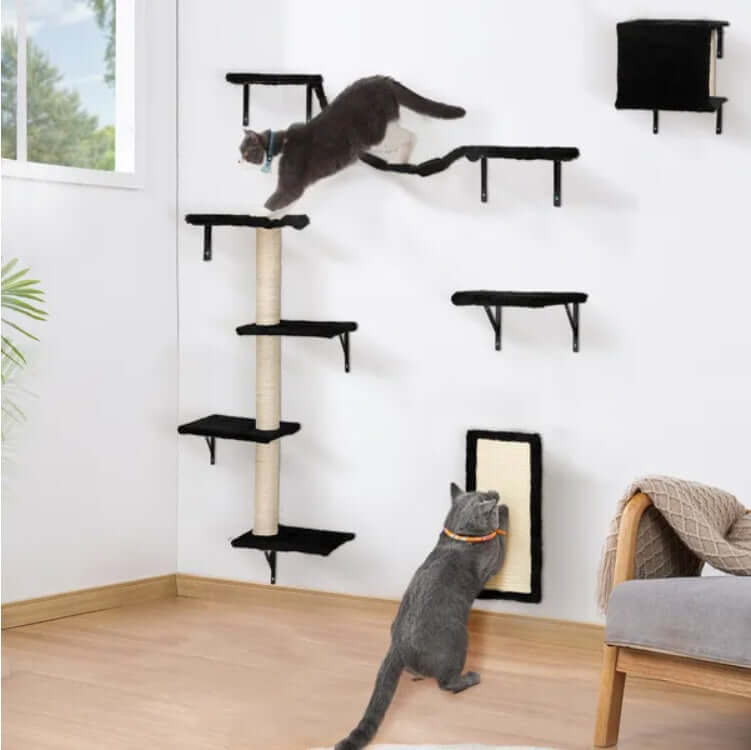 5Pcs Wall Mounted Cat Climbing Set with Shelves & Scratching Posts