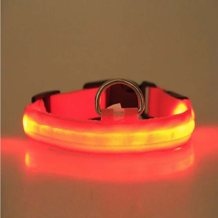 LED Pet Safety Halo Collar in bright red light, ensuring pet visibility during night walks.