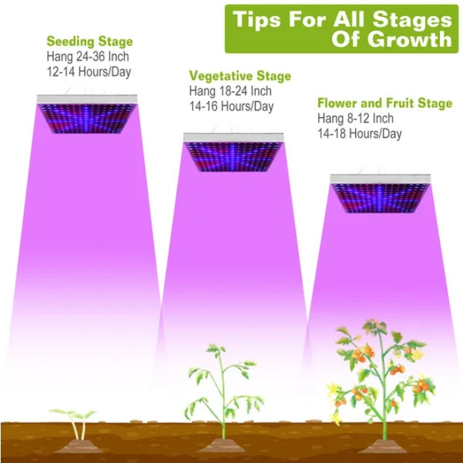 Tips for all stages of growth with indoor plant growth lamp, including seeding, vegetative, and flowering stages.