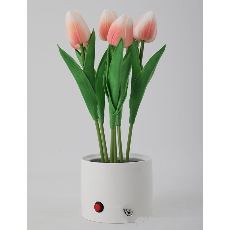 Personalized Decorative Atmosphere Lamp