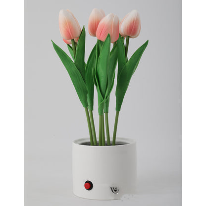 Personalized Decorative Atmosphere Lamp